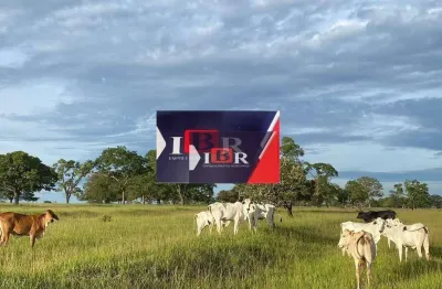 Fazenda à venda na Zona Rural, Inocência 