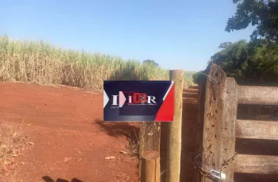 Fazenda à venda na Avenida Doutor Ricardo Alexsander de Andrade, Área Rural de Franca, Franca