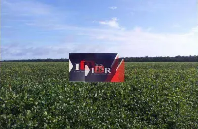 Fazenda à venda na Zona Rural, Nova Ubiratã 