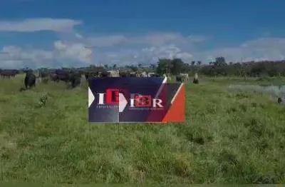 Fazenda à venda na Zona Rural, Alcinópolis 