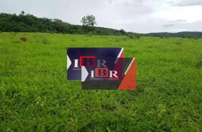 Fazenda à venda na Zona Rural, Terenos 