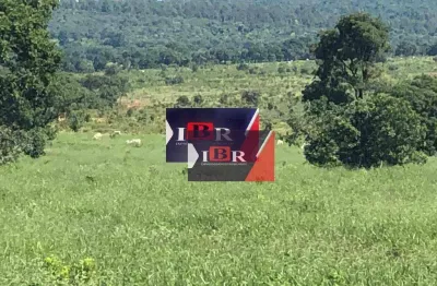 Fazenda à venda na Zona Rural, Ribas do Rio Pardo 
