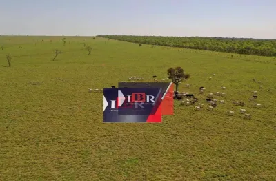 Fazenda à venda na Zona Rural, Ribas do Rio Pardo 