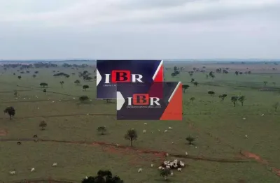 Fazenda à venda na Zona Rural, Amambaí 