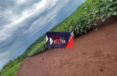 Fazenda à venda na Zona Rural, Chapadão do Sul 