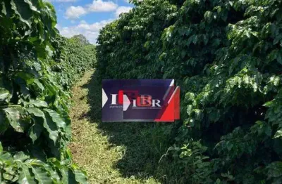Fazenda à venda no Centro, Cristais 