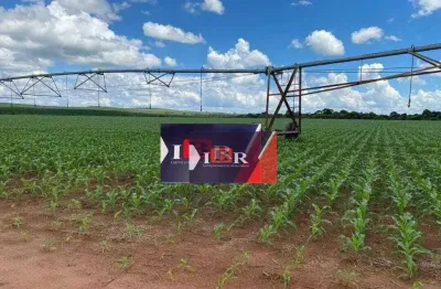 Fazenda à venda na Área Rural, Área Rural de Avaré, Avaré