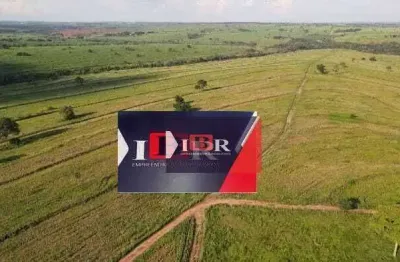 Fazenda à venda na Avenida Minerva Izar Jales, Área Rural de São José do Rio Preto, São José do Rio Preto