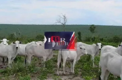 Fazenda à venda na Zona Rural, Reserva do Cabaçal 