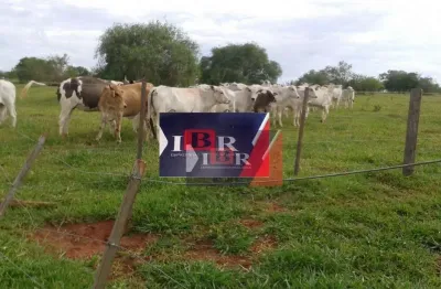 Fazenda à venda na Rua Domingos Marques dos Santos, Vila Dubus, Presidente Prudente