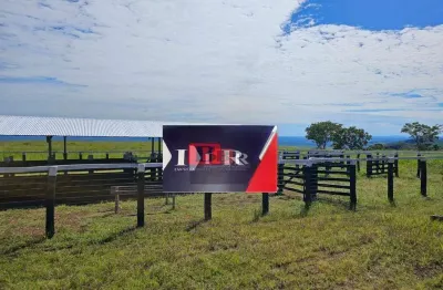 Fazenda à venda na Zona Rural, Baliza 