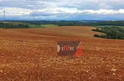 Fazenda à venda na Rua Rúbens Brasi, Área Rural de Itapetininga, Itapetininga