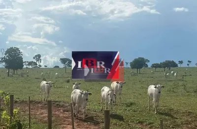 Fazenda à venda na Zona Rural, Paraíso das Águas 