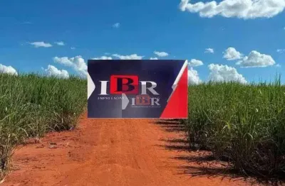 Fazenda à venda na Rua Onze, Vila Dubus, Presidente Prudente