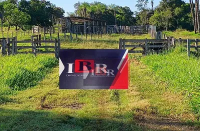 Fazenda à venda na Zona Rural, Camapuã 