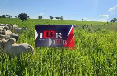 Fazenda à venda na Zona Rural, Pedro Gomes 