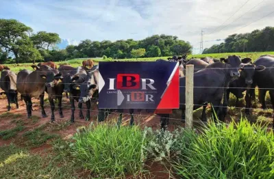 Fazenda à venda na Zona Rural, Aparecida do Taboado 