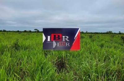Fazenda à venda na Zona Rural, Santo Antônio do Leverger 