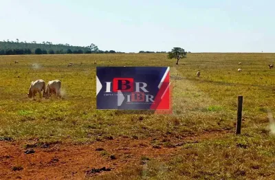 Fazenda à venda na Zona Rural, Selvíria 