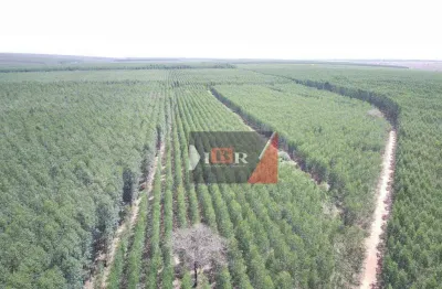 Fazenda à venda na Zona Rural, Cassilândia 