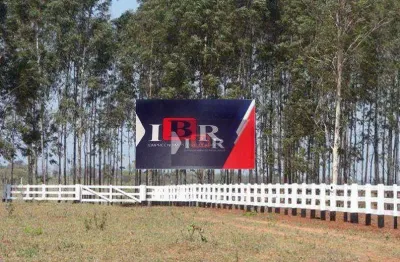Fazenda à venda na Zona Rural, Nova Andradina 
