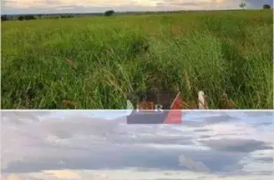 Fazenda à venda na Zona Rural, Figueirão 