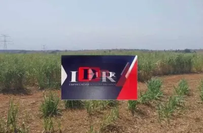 Fazenda à venda na Zona Rural, Guzolândia 