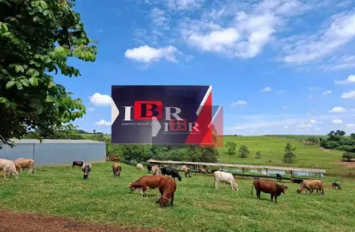 Chácara / sítio à venda na Vila Brasil, Cesário Lange 