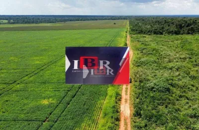 Fazenda à venda na Rua Aguinaldo Sampaio Ribas, Zona Rural, Ponta Grossa