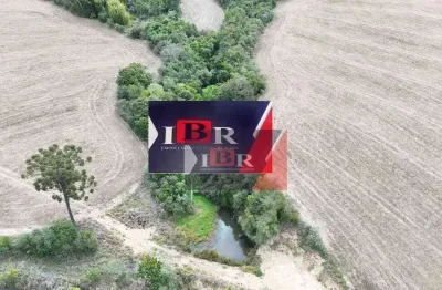 Chácara / sítio à venda na Vila Tomaz, São Miguel Arcanjo 