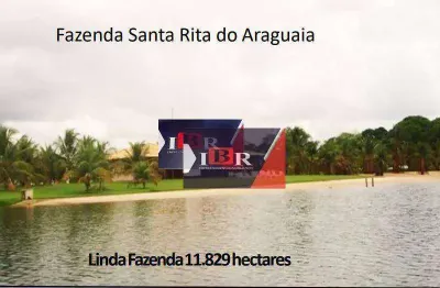 Fazenda à venda no Centro, Santa Rita do Araguaia 