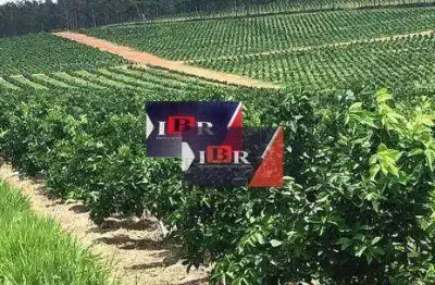 Fazenda à venda na Área Rural, Área Rural de Avaré, Avaré