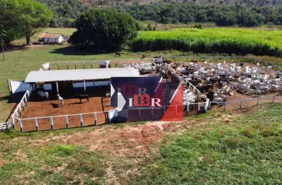 Fazenda à venda na Zona Rural, Aparecida do Taboado 