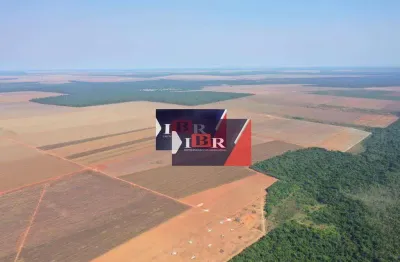 Fazenda à venda na Zona Rural, Gaúcha do Norte 