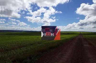 Fazenda à venda no Centro, Primavera do Leste 