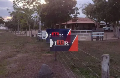 Fazenda à venda na Zona Rural, Batayporã 