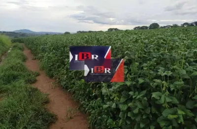 Fazenda à venda no Jardim Margarida, São José do Rio Pardo 