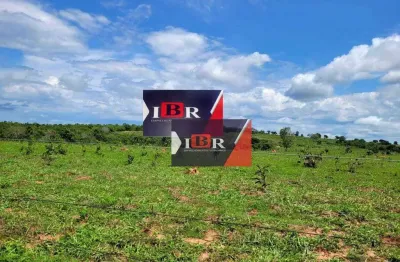 Fazenda à venda na Zona Rural, General Carneiro 