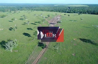 Fazenda à venda na Vila Nova, Paranatinga 