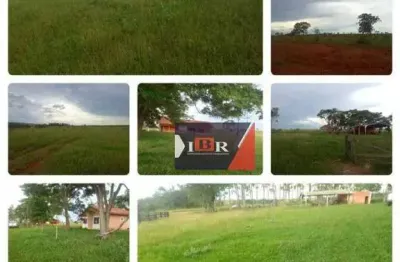 Fazenda à venda na Zona Rural, Ribas do Rio Pardo 