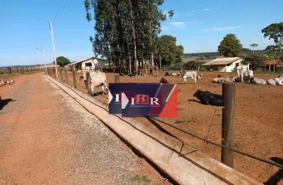 Fazenda à venda na Alameda Reno, Área Rural de Avaré, Avaré