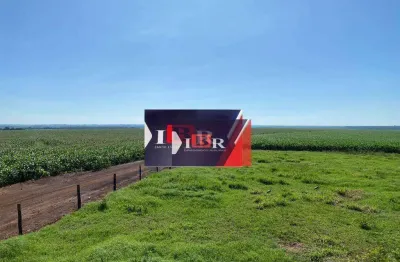 Fazenda à venda na Rua Duilio Aloi, Zona Rural, Dourados