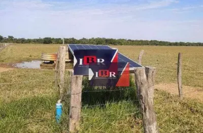 Fazenda à venda na Área Rural de Corumbá, Corumbá 
