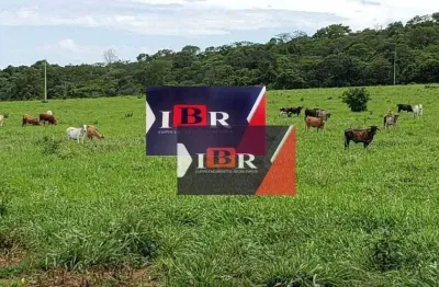 Fazenda à venda na Zona Rural, Terenos 