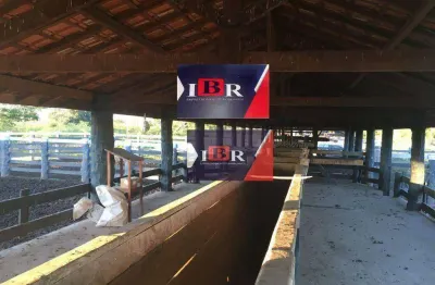 Fazenda à venda na Zona Rural, Miranda 