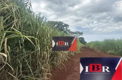 Fazenda à venda na Zona Rural, Ribeirão Bonito 
