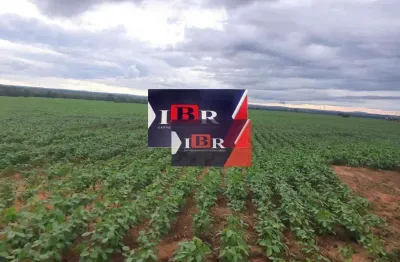 Fazenda à venda na Vila Nova, Paranatinga 