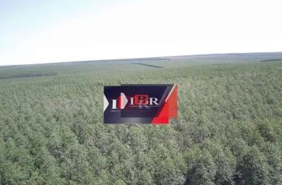 Fazenda à venda na Zona Rural, Ribas do Rio Pardo 