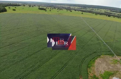 Fazenda à venda na Zona Rural, Ribas do Rio Pardo 