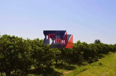 Fazenda à venda, 2420000 m² por R$ 40.000.000,00 - Zona Rural - Aguaí/SP